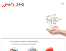 Tablet Screenshot of amyndas.com